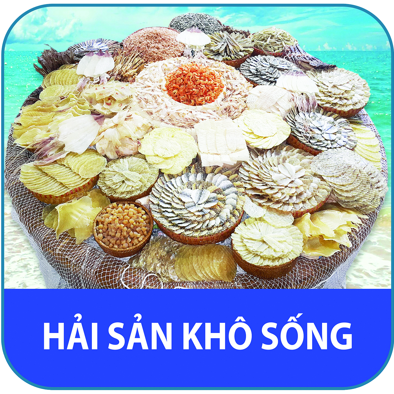 Đặc sản - Hải sản khô sống 