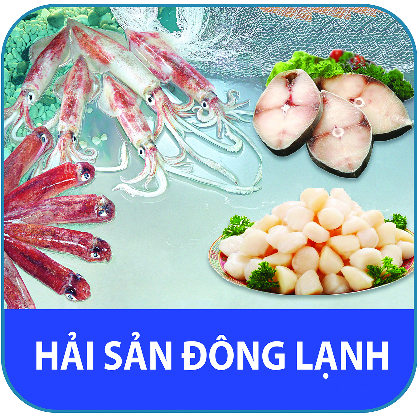 Hải sản đông lạnh Cá- Mực- Sò 